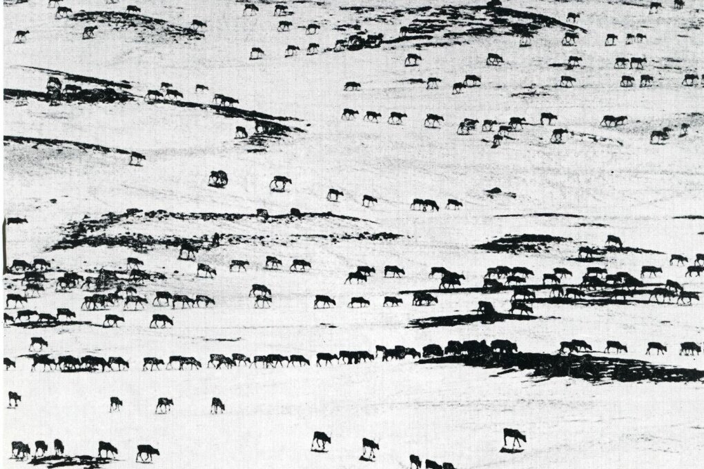 Skupina Tio fotografer